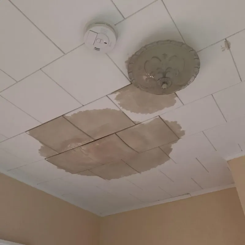 Ceiling Water Damage Repair in Plain City, OH