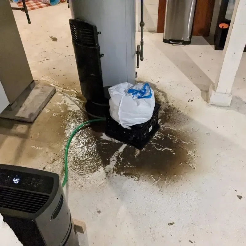 Sewage Backup Cleanup Service in Plain City, OH